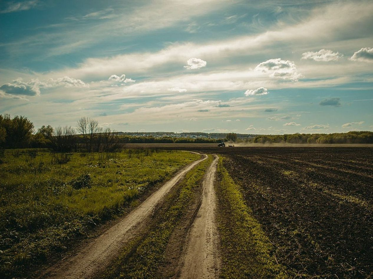 Viagem Panorâmica Campo