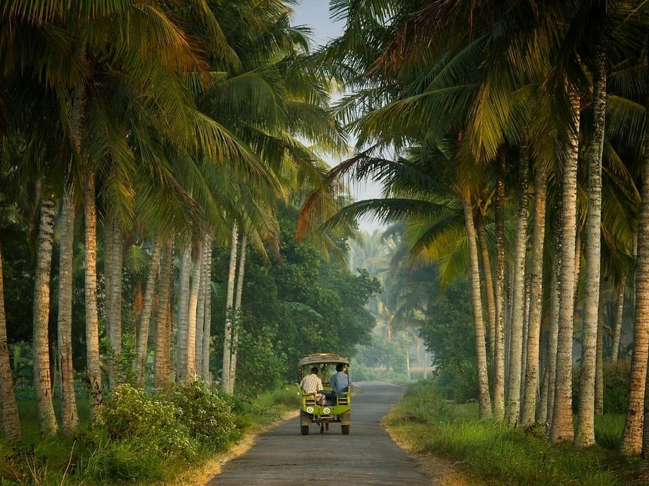 Atividades em Propriedade Rural